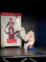 /album/spettacolo-al-cpg-di-torino-marzo-2015/img-20150322-wa0042-jpg/