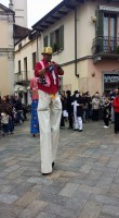 /album/i-trampolli-al-festival-di-artisti-di-strada-a-settimo-torinese/festival22-jpg/