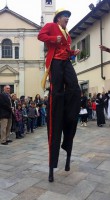 /album/i-trampolli-al-festival-di-artisti-di-strada-a-settimo-torinese/festival25-jpg/