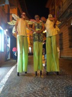 /album/la-notte-viola-a-caluso-2015/img-20150628-wa0003-jpg/