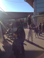 /album/animazione-per-conto-di-boxeur-des-rues-a-mondovicino/img-20160119-wa0004-jpg/