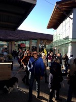 /album/animazione-per-conto-di-boxeur-des-rues-a-mondovicino/img-20160119-wa0008-jpg/